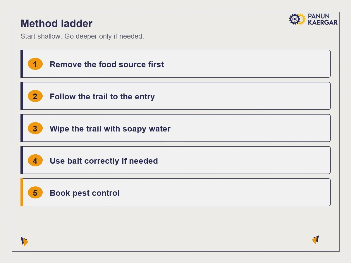 Practical ants in the kitchen troubleshooting steps